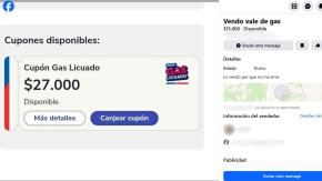 Denuncian venta de cupones de gas licuado a días del inicio de su entrega: Gobierno advierte posibles estafas